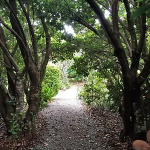 Camelot Boutique Lodge Mount Tamborine